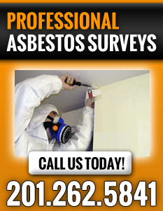 Asbestos Survey NJ/NY | Asbestos Inspection NJ/NY - cta